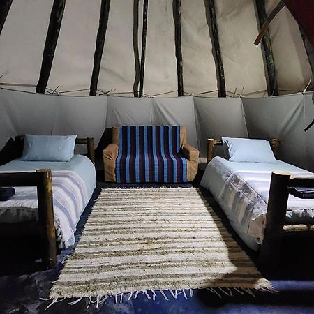 Tsitsikamma Wolf Sanctuary Eco Cabins & Teepees Stormsrivier Exteriör bild