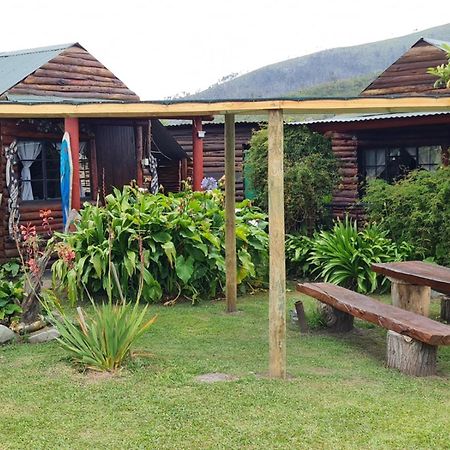 Tsitsikamma Wolf Sanctuary Eco Cabins & Teepees Stormsrivier Exteriör bild