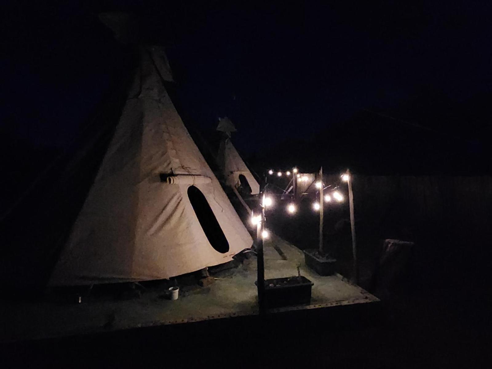 Tsitsikamma Wolf Sanctuary Eco Cabins & Teepees Stormsrivier Rum bild