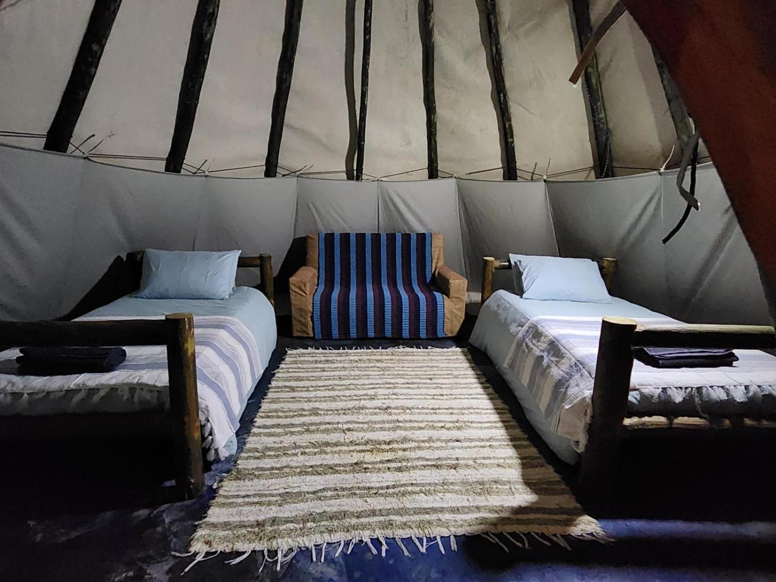 Tsitsikamma Wolf Sanctuary Eco Cabins & Teepees Stormsrivier Exteriör bild