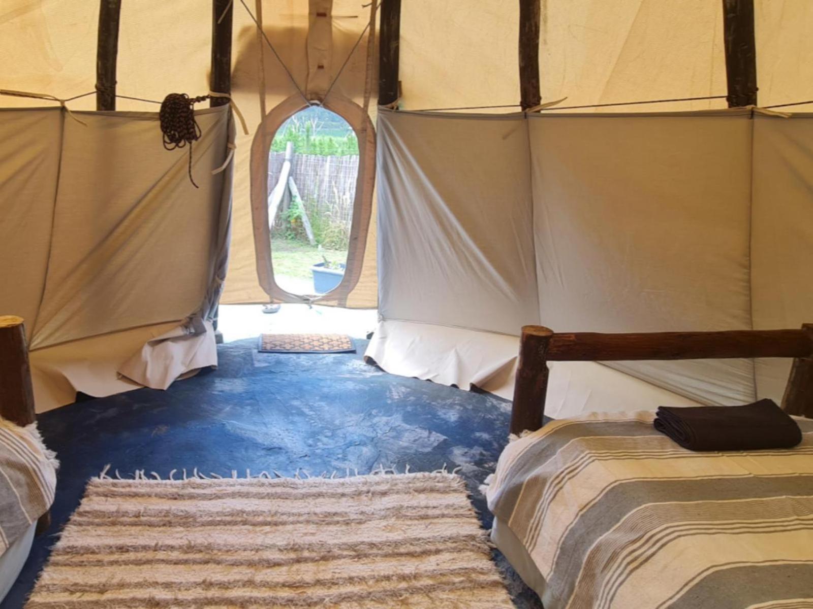 Tsitsikamma Wolf Sanctuary Eco Cabins & Teepees Stormsrivier Exteriör bild