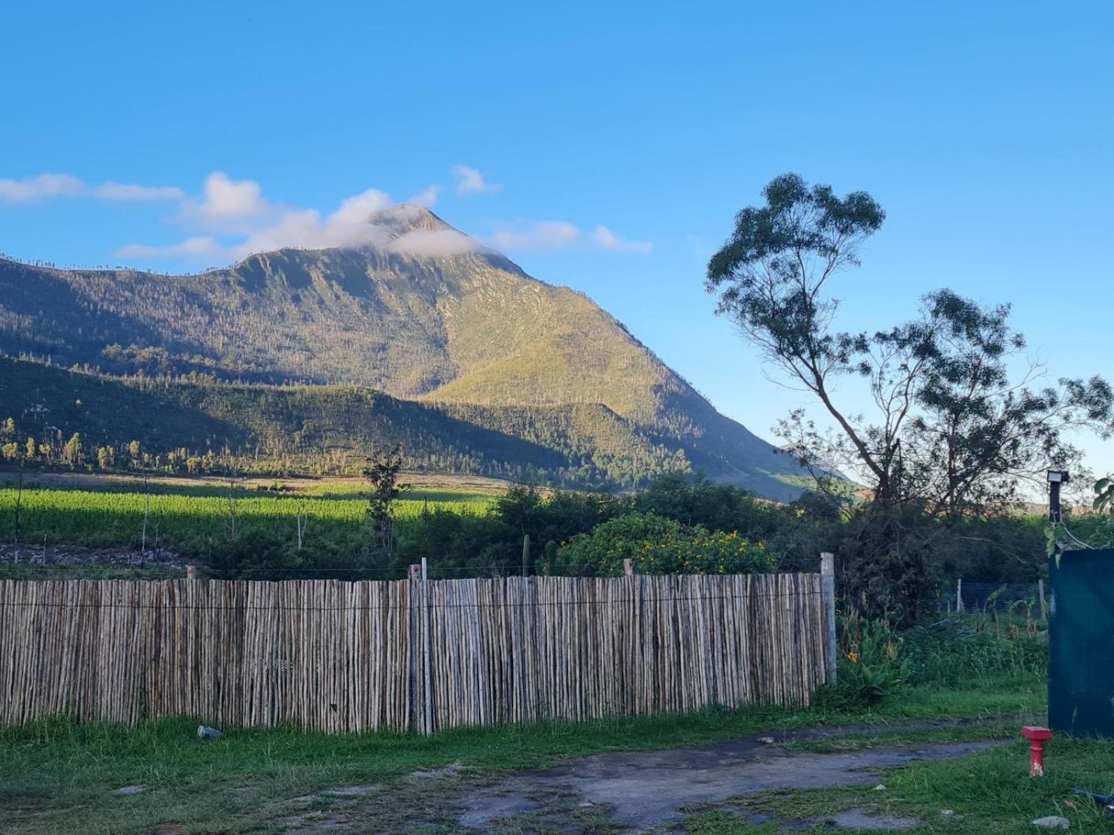 Tsitsikamma Wolf Sanctuary Eco Cabins & Teepees Stormsrivier Exteriör bild