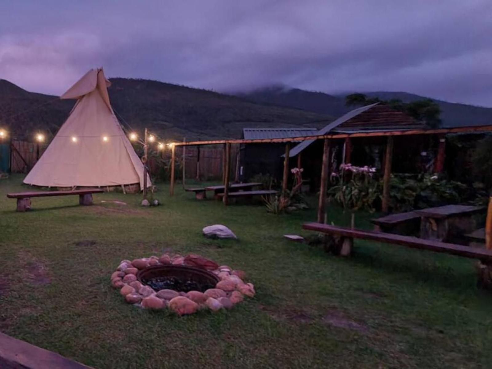 Tsitsikamma Wolf Sanctuary Eco Cabins & Teepees Stormsrivier Exteriör bild