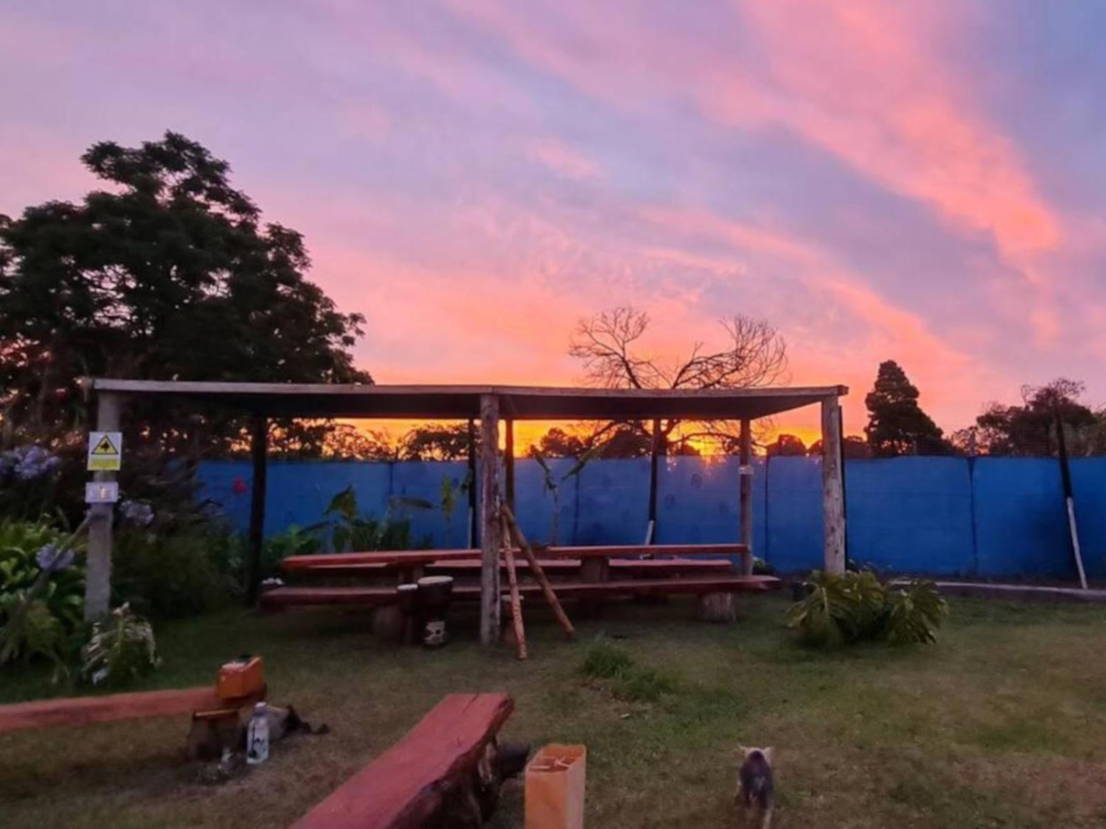 Tsitsikamma Wolf Sanctuary Eco Cabins & Teepees Stormsrivier Exteriör bild