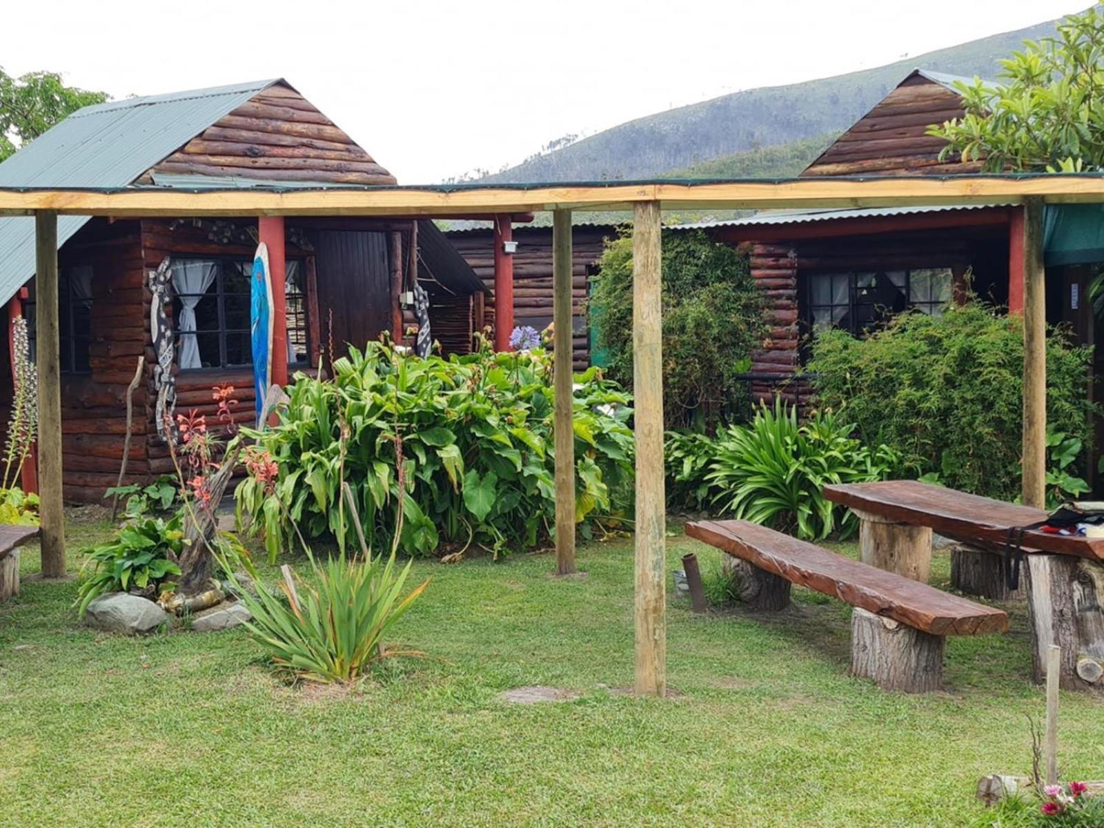 Tsitsikamma Wolf Sanctuary Eco Cabins & Teepees Stormsrivier Exteriör bild