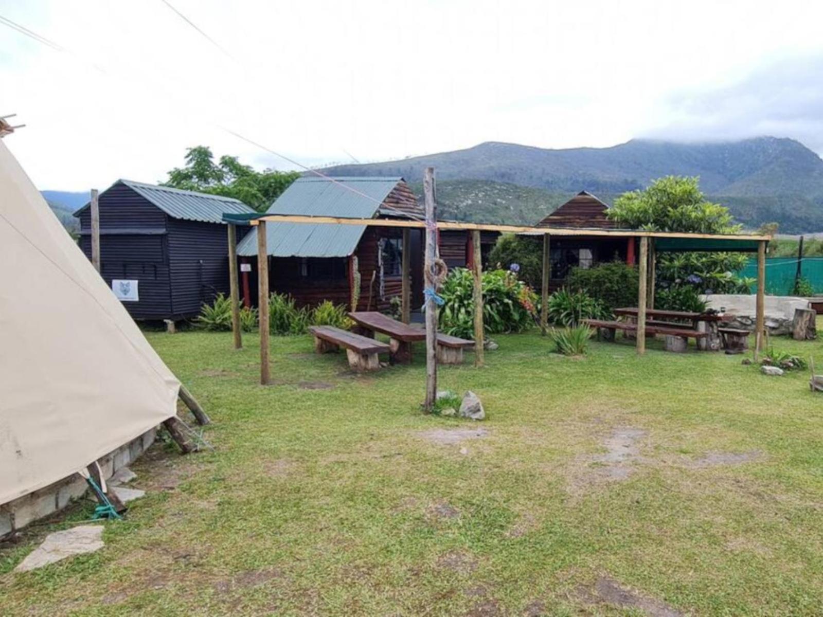 Tsitsikamma Wolf Sanctuary Eco Cabins & Teepees Stormsrivier Exteriör bild