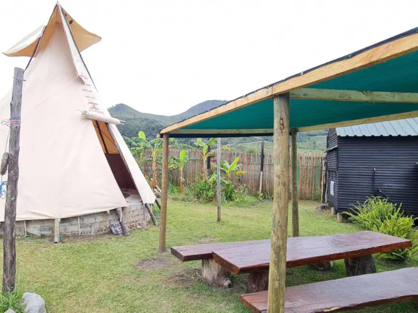 Tsitsikamma Wolf Sanctuary Eco Cabins & Teepees Stormsrivier Exteriör bild