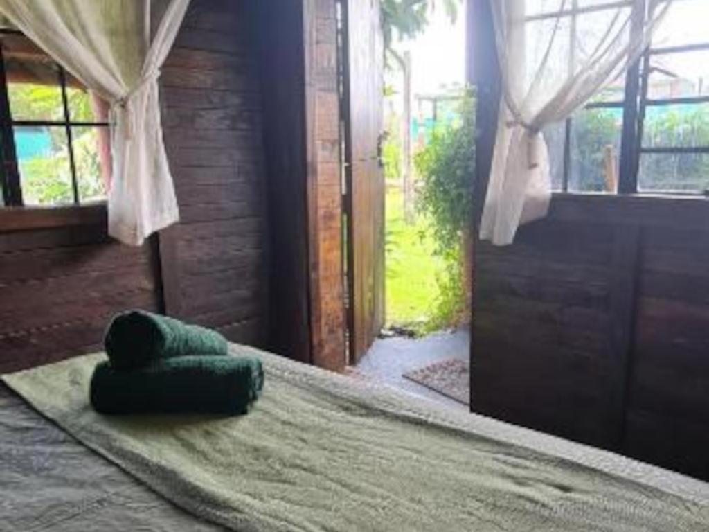 Tsitsikamma Wolf Sanctuary Eco Cabins & Teepees Stormsrivier Rum bild