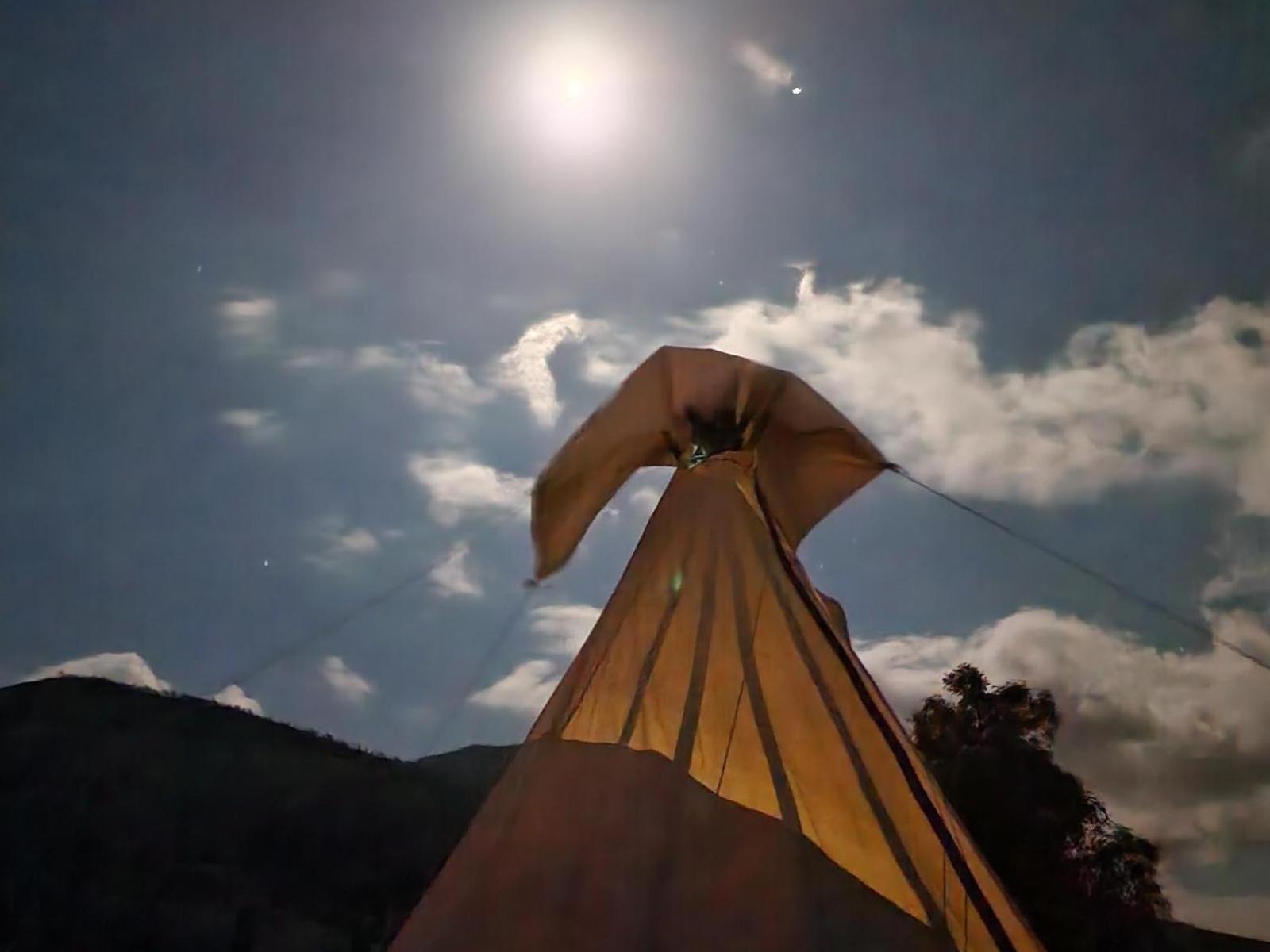 Tsitsikamma Wolf Sanctuary Eco Cabins & Teepees Stormsrivier Rum bild