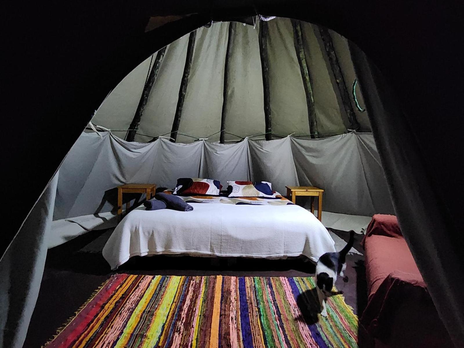 Tsitsikamma Wolf Sanctuary Eco Cabins & Teepees Stormsrivier Rum bild