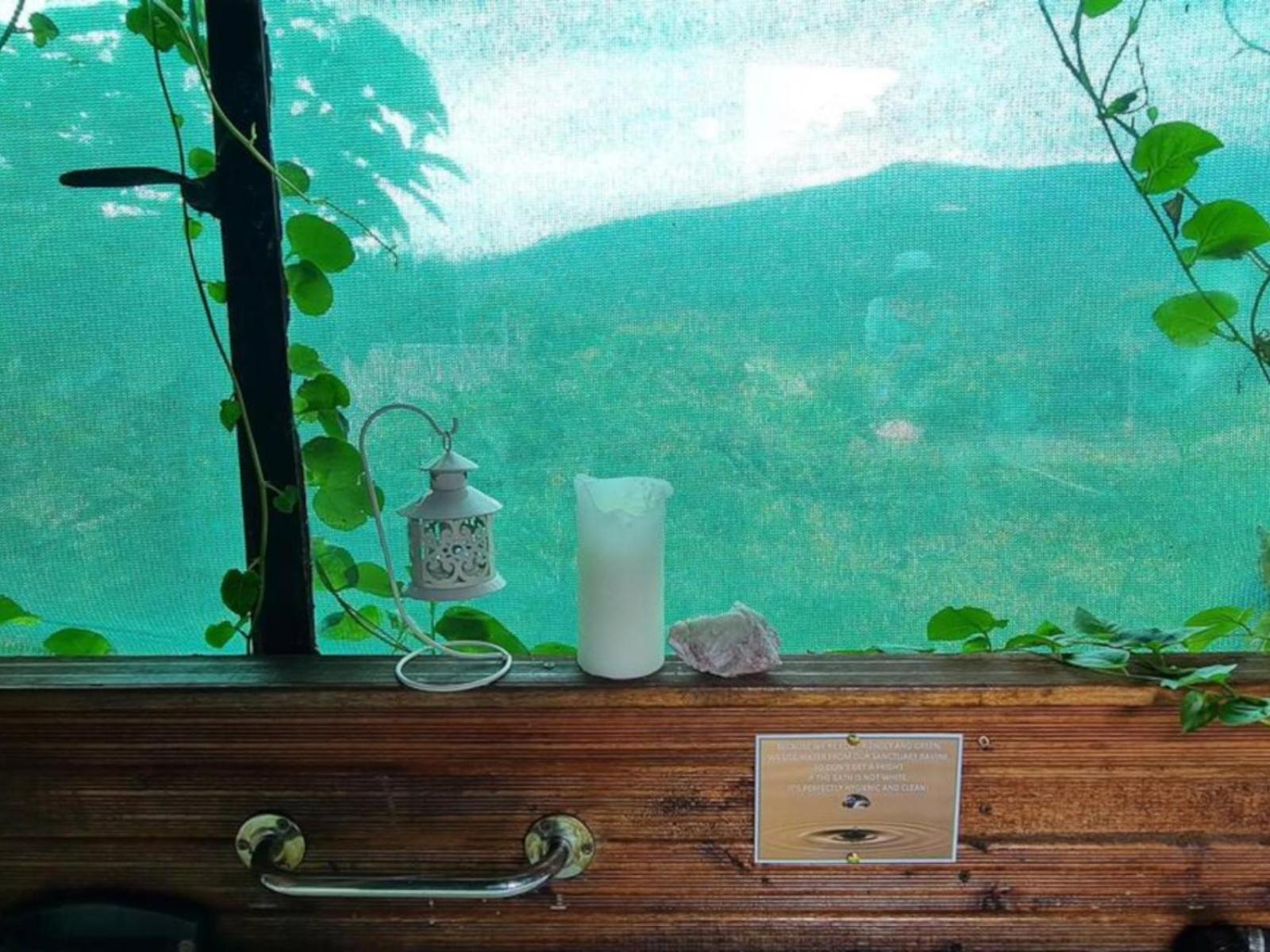 Tsitsikamma Wolf Sanctuary Eco Cabins & Teepees Stormsrivier Rum bild