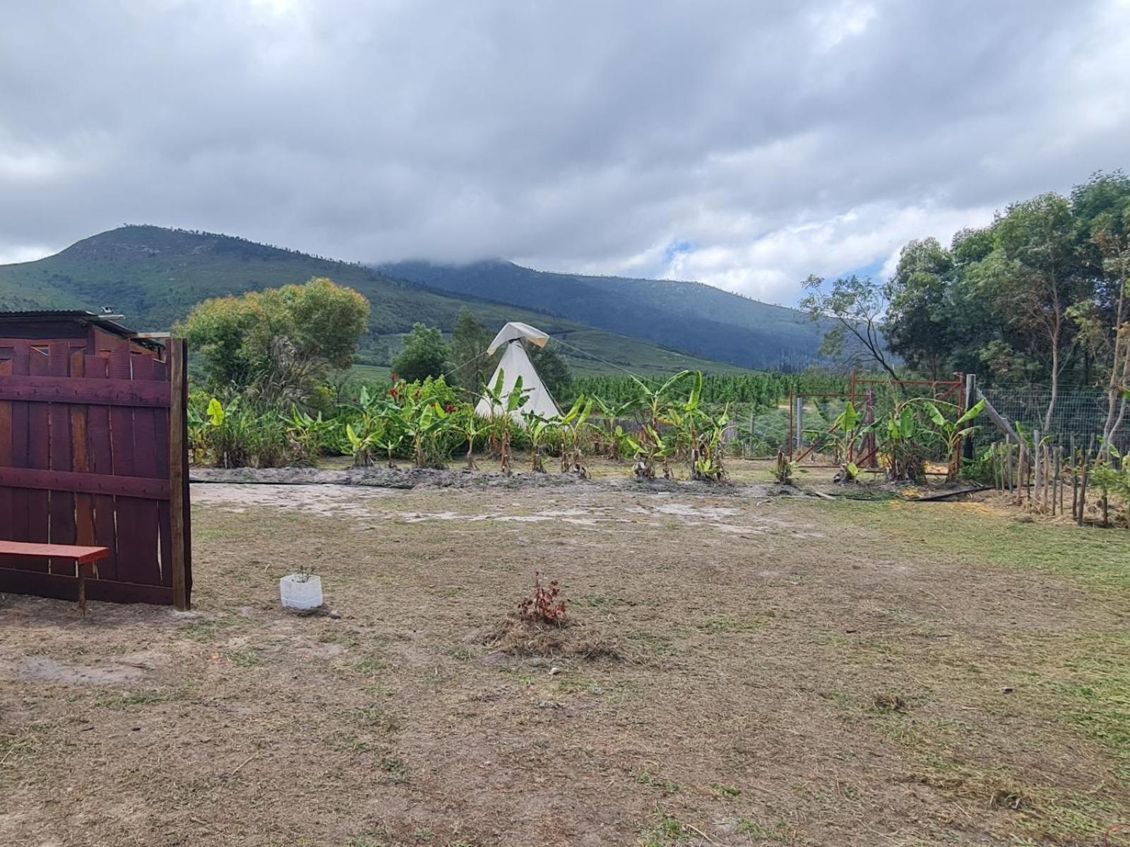 Tsitsikamma Wolf Sanctuary Eco Cabins & Teepees Stormsrivier Rum bild